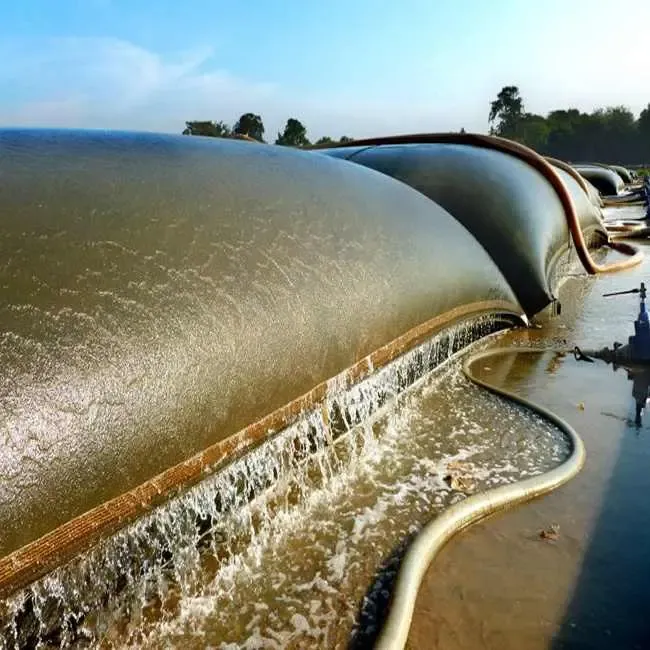 Ống geotube được triển khai để gia cố bờ sông, ngăn chặn tình trạng xói lở nghiêm trọng, bảo vệ các công trình và đất đai lân cận khỏi sự tàn phá của dòng chảy